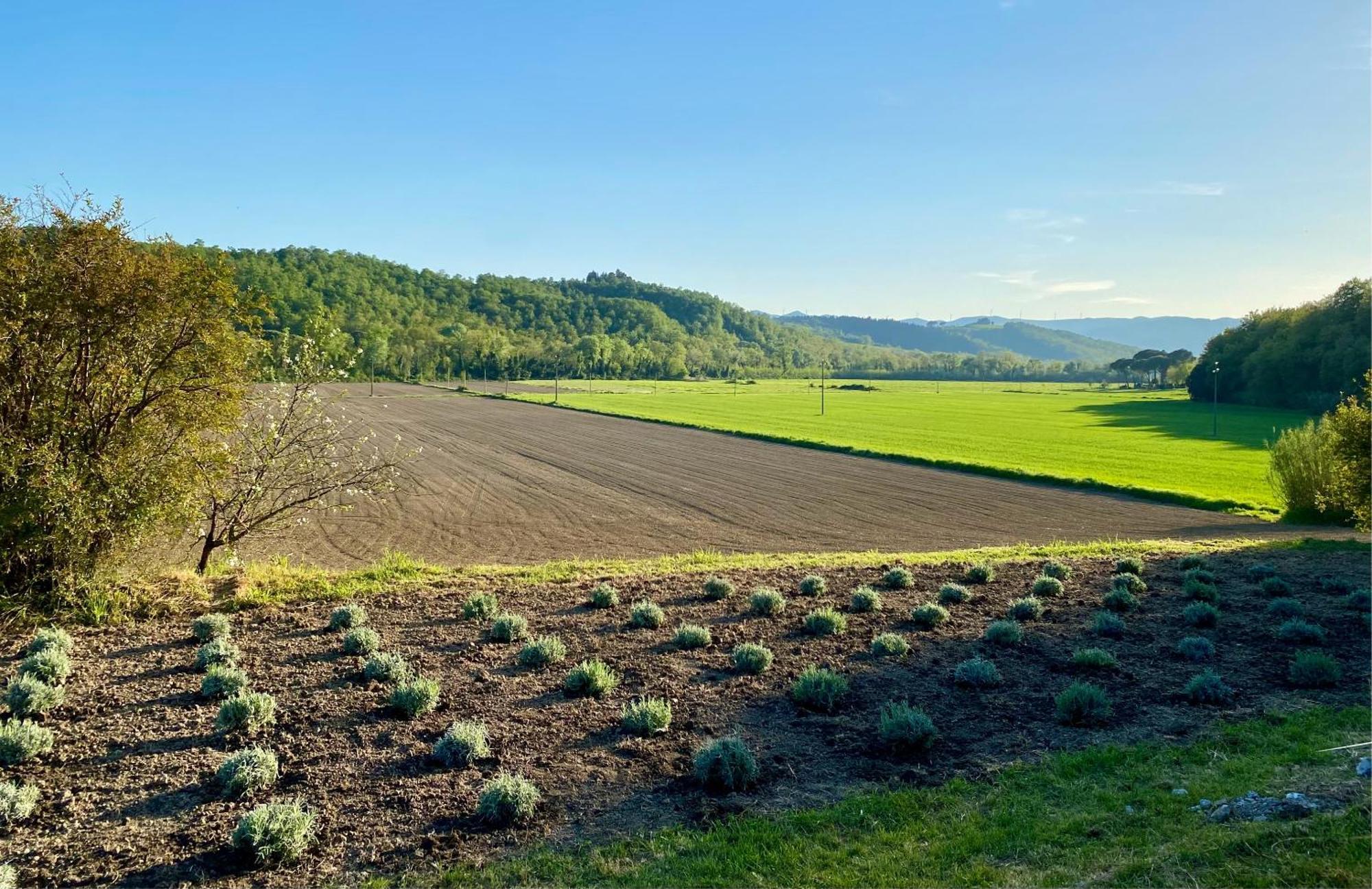 Casa Vacanze Podere San Giusto Volterra Exteriör bild