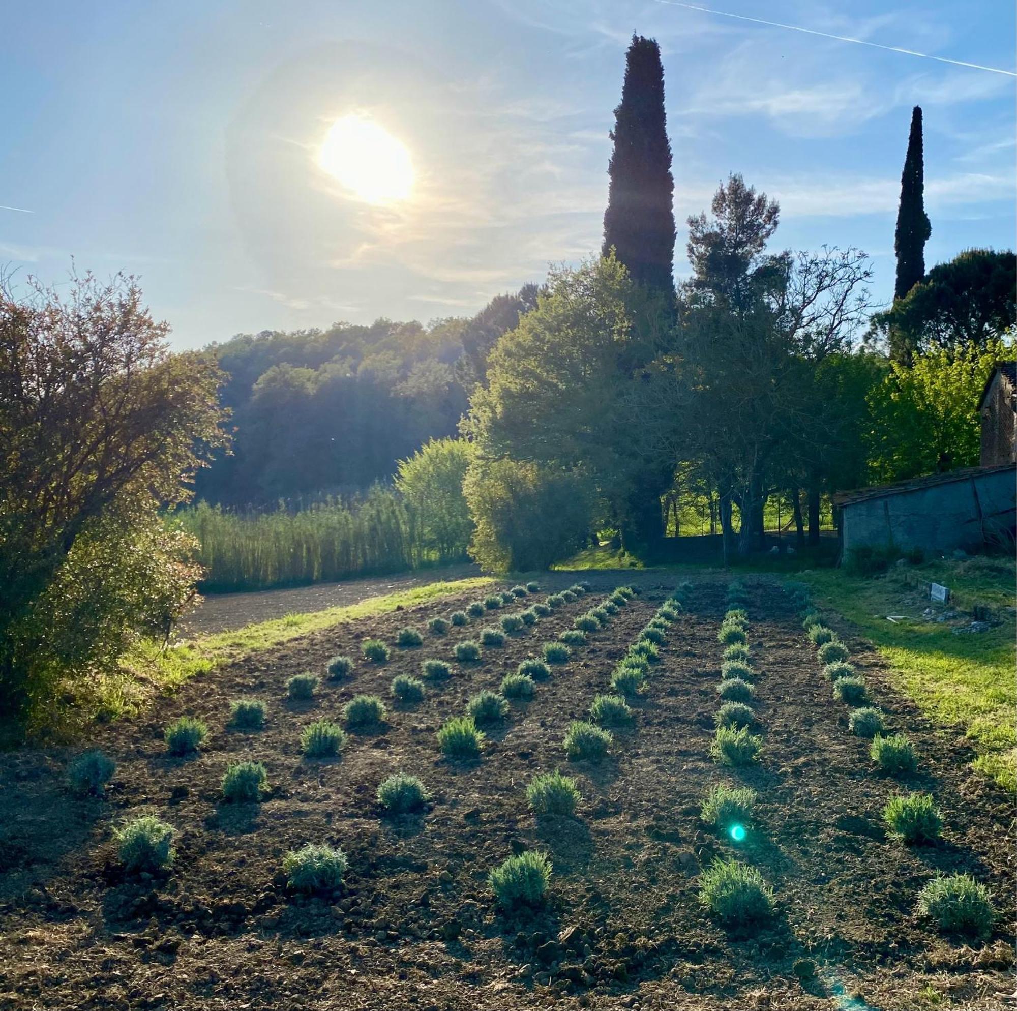 Casa Vacanze Podere San Giusto Volterra Exteriör bild
