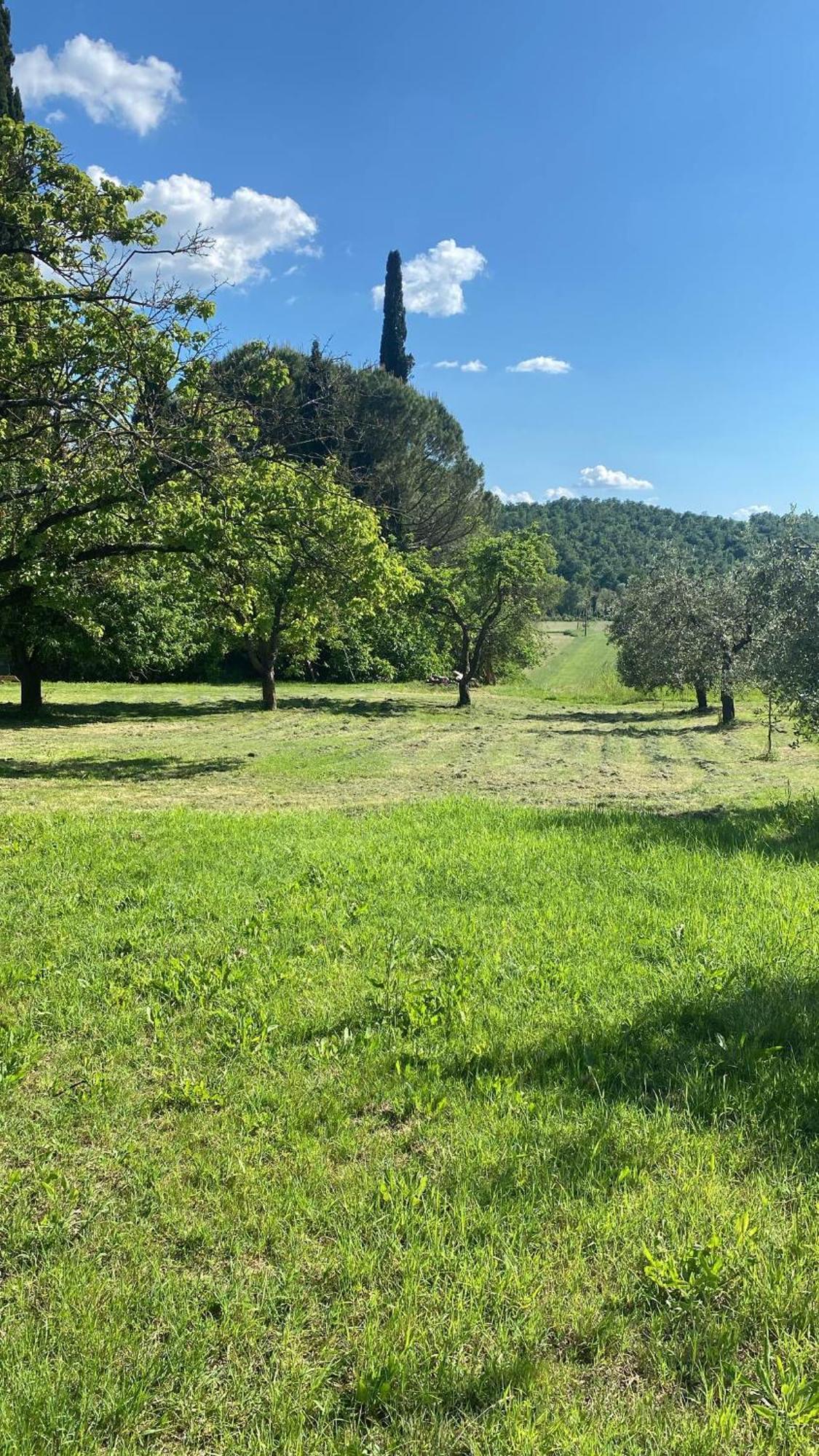 Casa Vacanze Podere San Giusto Volterra Exteriör bild
