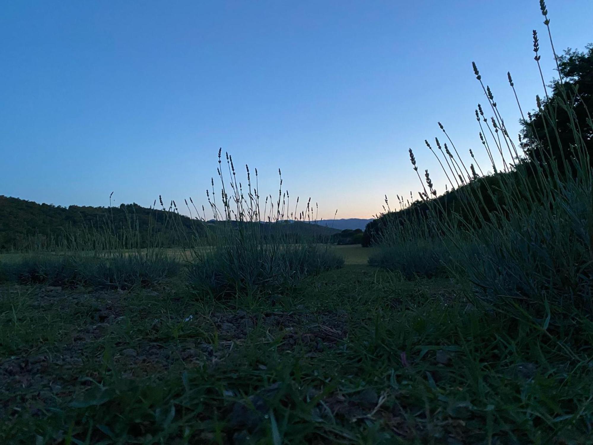 Casa Vacanze Podere San Giusto Volterra Exteriör bild