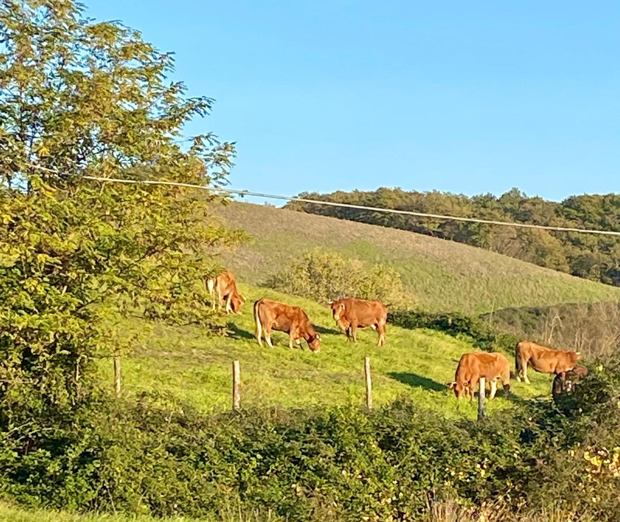 Casa Vacanze Podere San Giusto Volterra Exteriör bild