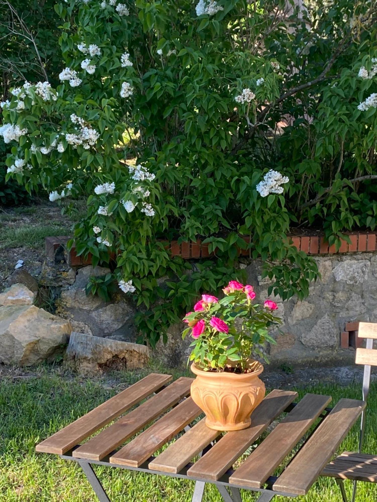 Casa Vacanze Podere San Giusto Volterra Exteriör bild